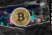متداول XRP الذي توقع صعودًا بنسبة 700% يشارك تحديثًا صارخًا لسعر البيتكوين