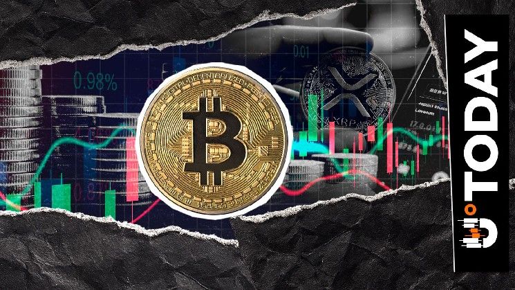 متداول XRP الذي توقع صعودًا بنسبة 700% يشارك تحديثًا صارخًا لسعر البيتكوين