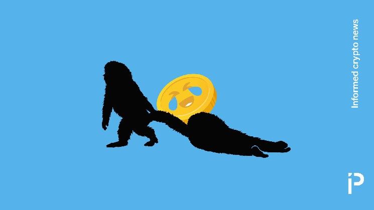 هل يُمثّل رمز PUNCH الجيل الجديد من عملات ميم مثل Moo Deng؟