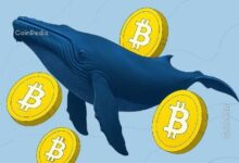 محفظة حوت بيتكوين من عصر ساتوشي تشتري 7000 بيتكوين بعد 14 عامًا من السكون