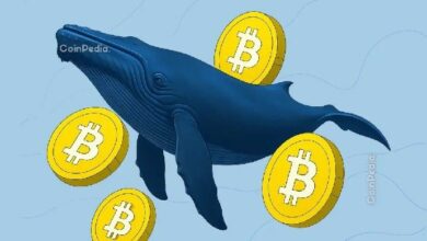 محفظة حوت بيتكوين من عصر ساتوشي تشتري 7000 بيتكوين بعد 14 عامًا من السكون