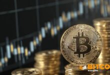 ارتفاع أسهم العملات الرقمية: كوينبيز (COIN) تقفز 18% ومايكروستراتيجي (MSTR) ترتفع 10%