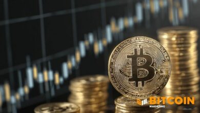 ارتفاع أسهم العملات الرقمية: كوينبيز (COIN) تقفز 18% ومايكروستراتيجي (MSTR) ترتفع 10%