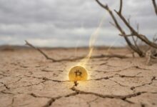 سعر البيتكوين يحاول التعافي لكن زخم الاستمرار لا يزال ضعيفًا