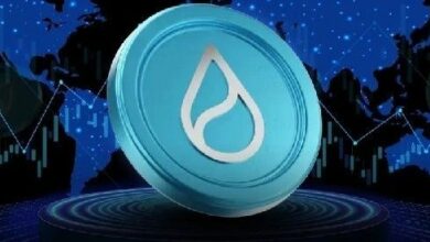 سعر SUI يواجه خطر الانهيار دون 0.88 دولار مع انهيار إجمالي القيمة المؤمنة والمراكز المفتوحة