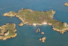 سكان نيفيس ينتفضون ضد تقارير عن كتابة المستثمر أوليفييه جانسينز لمشروع قانون العملات المشفرة للجزيرة الكاريبية