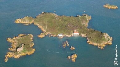 سكان نيفيس ينتفضون ضد تقارير عن كتابة المستثمر أوليفييه جانسينز لمشروع قانون العملات المشفرة للجزيرة الكاريبية