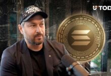 هل سيموت سولانا مرة أخرى؟ مؤسس العملة المشفرة يوضح استحالة ذلك باقتباس من "صراع العروش"