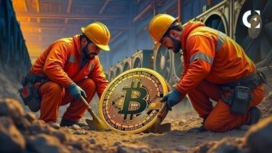 مقاطعة بوتو في سيتشوان تحظر جميع عمليات تعدين العملات الرقمية