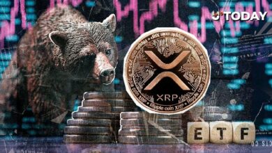 عملة XRP تتحدى تراجع السوق بتدفقات أسبوعية للصناديق المتداولة بقيمة 45 مليون دولار