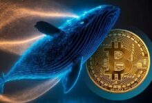 الحيتان الكبيرة تتحرك مع تعافي البيتكوين: إليك تحركاتهم الأخيرة
