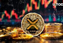 44 ساعة تفصلنا عن تفعيل خاصية XRP المحورية التي قد تجذب التدفقات المؤسسية