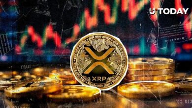 44 ساعة تفصلنا عن تفعيل خاصية XRP المحورية التي قد تجذب التدفقات المؤسسية