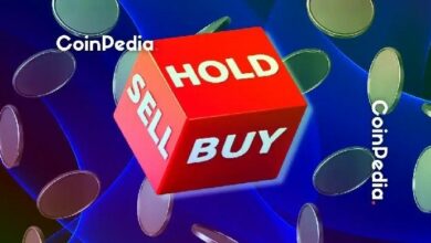 لماذا يشتري المستثمرون الأذكياء هذين البديلين أثناء تصحيح البيتكوين؟