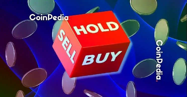 لماذا يشتري المستثمرون الأذكياء هذين البديلين أثناء تصحيح البيتكوين؟