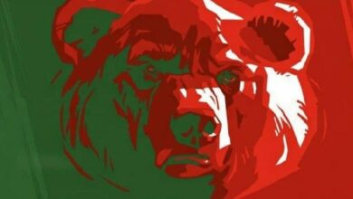 إمدادات البيتكوين في حالة خسارة تشير إلى ظروف سوق هابطة مبكرة: تقرير CryptoQuant