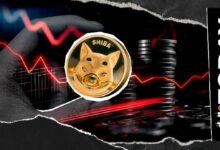 نشاط حرق عملة شيبا إنو يتلاشى تمامًا مع انخفاض قيمتها 100%