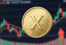 هل سينهار سعر XRP إلى الصفر؟ الحقيقة الكاملة هنا...