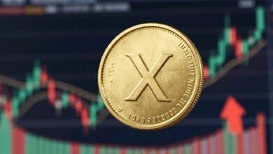 هل سينهار سعر XRP إلى الصفر؟ الحقيقة الكاملة هنا...