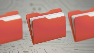 شبكة ستوراكس (SRX) تتحدى الانكماش السوقي وتتصدر قطاع التخزين اللامركزي في المكاسب