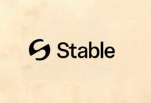 ستيبل: شبكة الطبقة الأولى المبنية على USDT والمصممة خصيصًا للمدفوعات