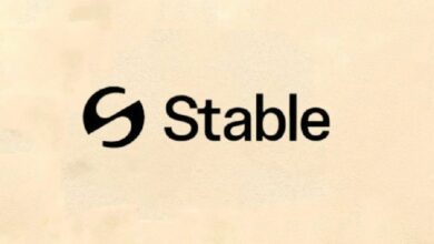 ستيبل: شبكة الطبقة الأولى المبنية على USDT والمصممة خصيصًا للمدفوعات