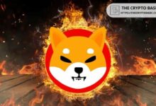 معدل حرق شيبا إينو يقفز 173,579% خلال 24 ساعة دون تأثير يذكر على سعره