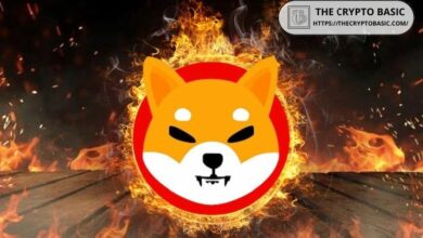 معدل حرق شيبا إينو يقفز 173,579% خلال 24 ساعة دون تأثير يذكر على سعره