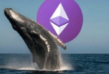 عضو البيتكوين المخضرم جاريت جين يسحب 80,000 إيثريوم من منصة بينانس