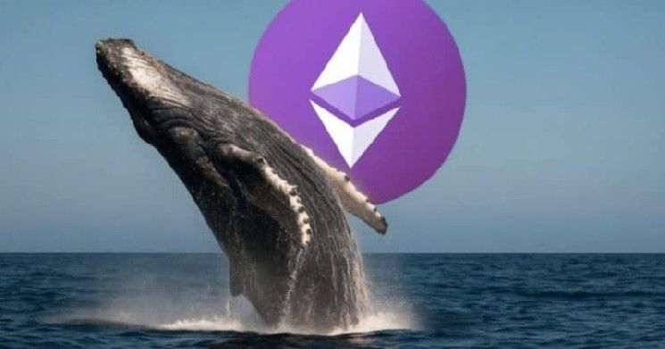 عضو البيتكوين المخضرم جاريت جين يسحب 80,000 إيثريوم من منصة بينانس