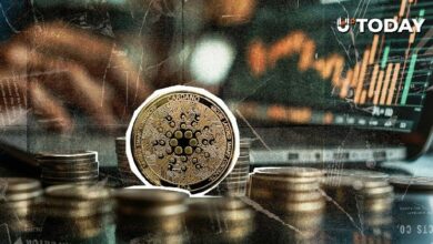 كبار حاملي كاردانو يضيفون 819 مليون عملة ADA مع انخفاض السعر 71%