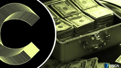 كانتون تطلق صندوق النظام البيئي: كل ما تحتاج معرفته عن CIP-0100