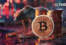 بيانات البلوكتشين للبتكوين تشير إلى مرحلة هبوط قادمة