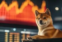 سعر شيبا إينو يواجه مقاومة حاسمة بينما الحيتان الكبيرة تنتظر على الهامش