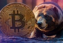 رئيس الاستثمار في بيتوايس يقارن بين 2018 و2022: "نحن في سوق هابطة للبيتكوين، لكن هذه المرة أشد!"