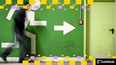 تنحي المؤسس المشارك والرئيس التنفيذي لـ Blockfills نيكولاس هامر خسائر قروض بقيمة 75 مليون دولار