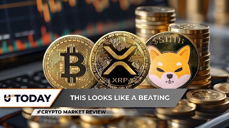 مراجعة سوق العملات الرقمية: XRP في مياه عميقة قرب مستوى 1 دولار، Shiba Inu (SHIB) يسجل أسوأ هبوط في 2026، هل بيتكوين (BTC) في خطر بلوغ 50,000 دولار؟