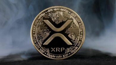 مستويات تمويل XRP تهبط إلى مستويات سلبية قياسية: ماذا يعني ذلك لسعر العملة؟
