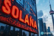 سعر سولانا يواجه خطر ارتداد مؤقت مع ضعف حجم التداول في الصعود الأخير