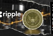 محامي أوراق مالية يكشف: قضية هيئة الأوراق المالية ضد ريبل "لم يكن يجب أن تحدث" وأن "XRP لم يكن أبداً ورقة مالية"