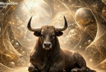 المستشارون الماليون يحافظون على تفاؤلهم تجاه العملات الرقمية مع استعداد السوق للصعود القادم