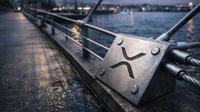 المقاييس الحاسمة لصحة شبكة XRP وكيفية قراءتها دون تشويش