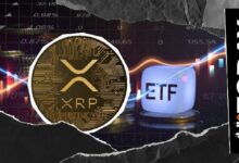 تدفقات صناديق XRP المتداولة في البورصة الأمريكية تُظهر تفاؤلاً حذراً بارتفاع 6 ملايين دولار خلال يومين
