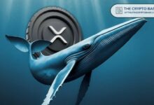 حوت جديد يبتلع 120 مليون XRP في ساعة واحدة