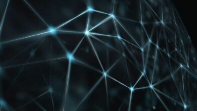 "باك" ترفع عائد الرمز المميز إلى 10% وتطلق ميزة المكافآت التلقائية