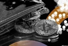 مؤشرات توتر بين حاملي البيتكوين على المدى الطويل بعد موجة البيع في فبراير