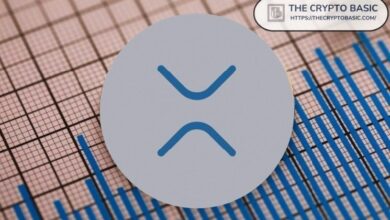 8 شركات عامة تخصص ملياري دولار في احتياطيات الخزانة الاستراتيجية لـ XRP