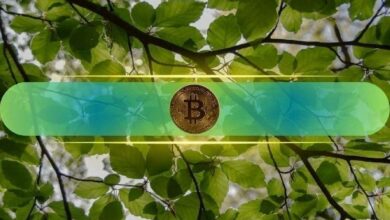 رسوم شبكة BSC تبلغ أدنى مستوياتها في أشهر متزامنة مع إشارات تاريخية لانتعاش البيتكوين القادم