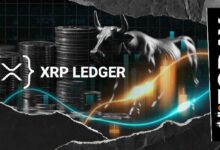 95% من انهيار دفتر حسابات XRP قد يكون إيجابياً: السبب وراء ذلك