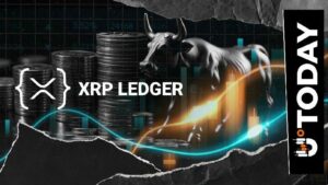 95% من انهيار دفتر حسابات XRP قد يكون إيجابياً: السبب وراء ذلك